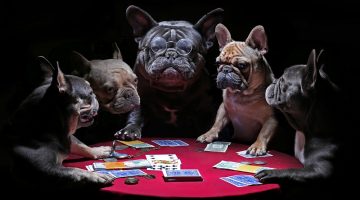 Perceptia selectiva in jocul de poker al incepatorilor